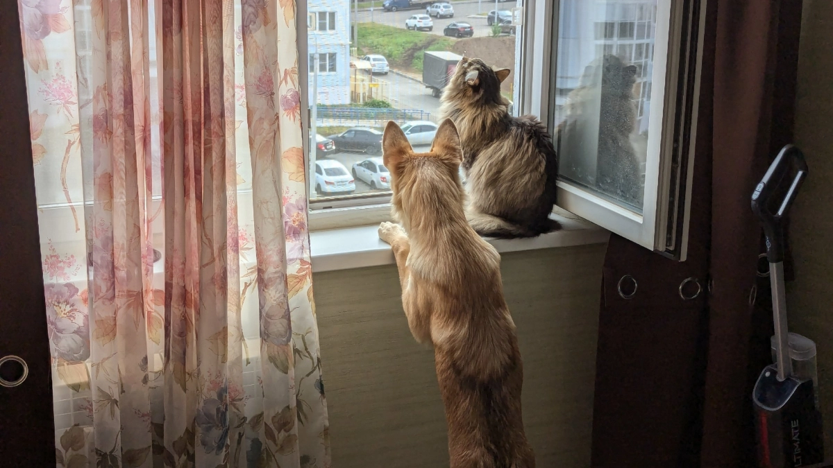 Гладить тюль уже не в тренде: 0,5 колпачка в пульверизатор — и не нужно никакого утюга и танцев с бубнами