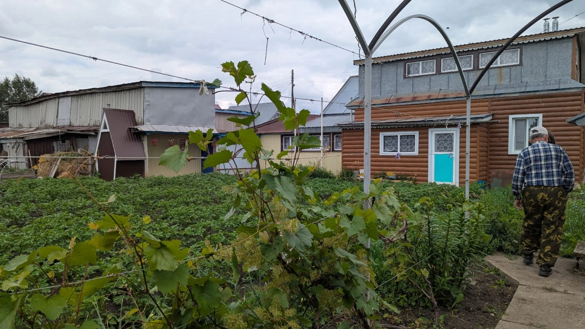 Соорудил дачный стол без плотницких навыков за 3600 р: простой способ сборки в модном цвете "махагон" - тройная экономия