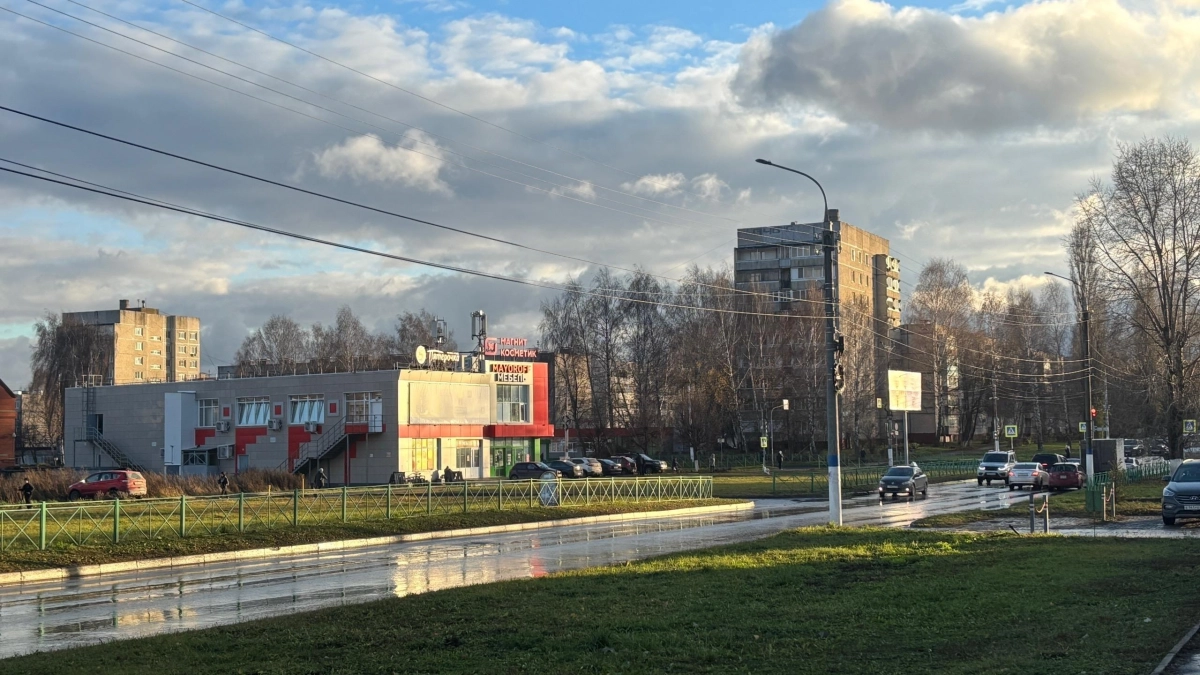 Солнце вернётся в выходные: синоптики обещают тепло до 12 градусов