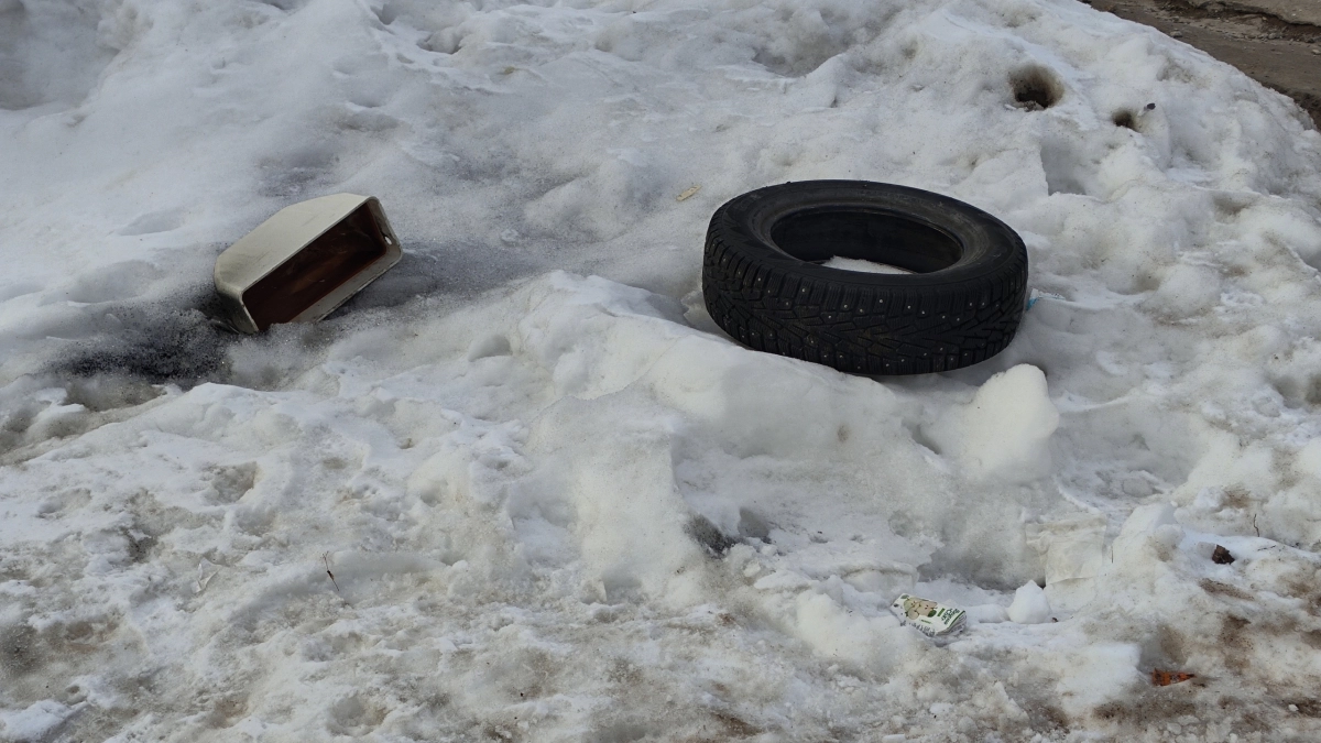 Старые покрышки от авто собираю даже у соседей: нашел гениальное применение им на даче - вся семья оценила находку