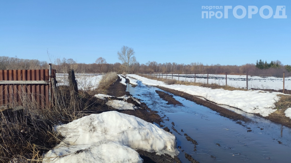 Природа сошла с ума: вместо апрельской слякоти на Северо-Запад идет тепло выше климатической нормы