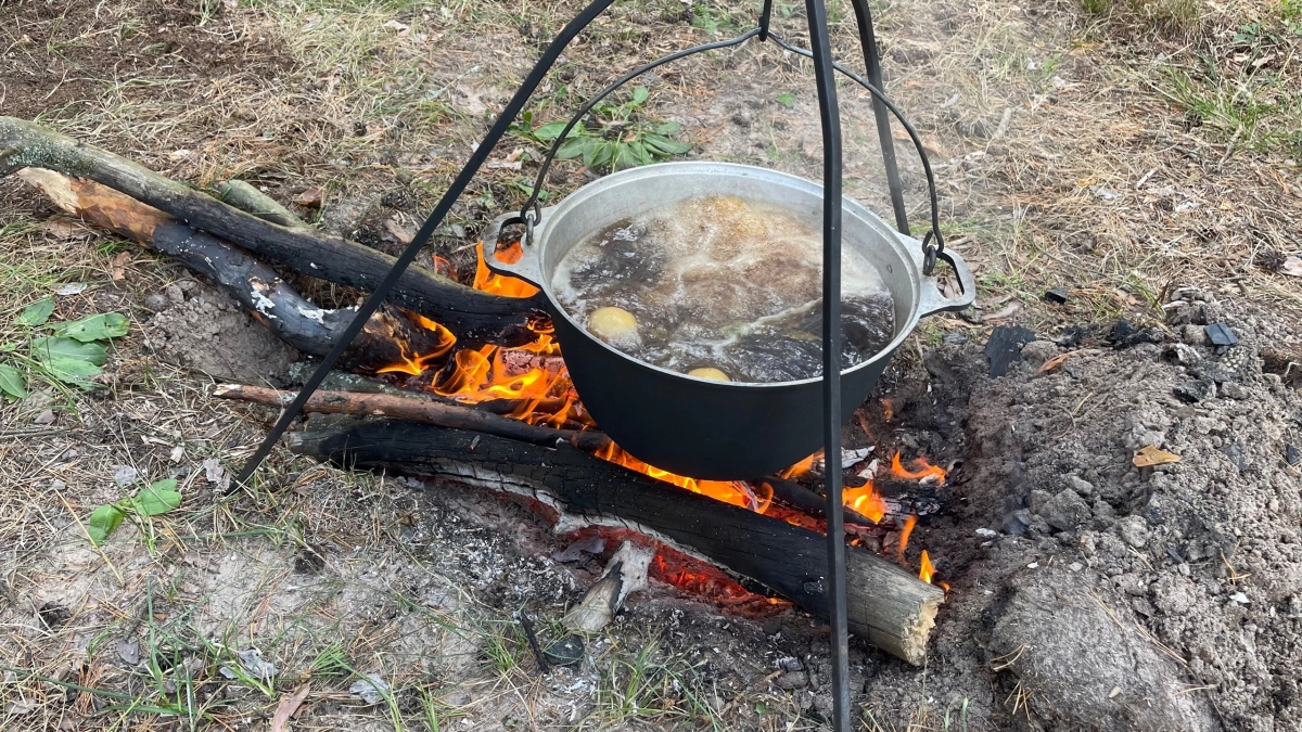 Противопожарный режим, установка памятника и потепление: главные новости за 11 апреля