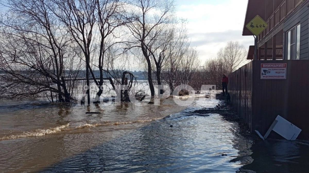 Разливом Волги подтопило сады на левом берегу реки напротив Новочебоксарска