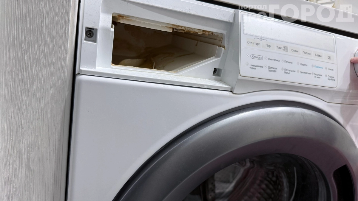 Накипь уйдёт, а деньги на ветер: почему лимонная кислота губит стиральную машину