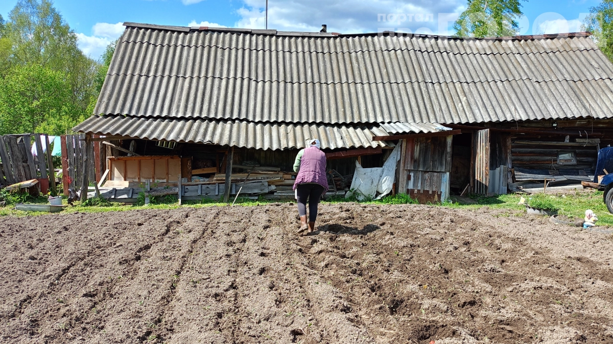 У китайцев растет все как на дрожжах, а мы мучаемся: как заставить растения расти в разы быстрее — секрет раскрыт