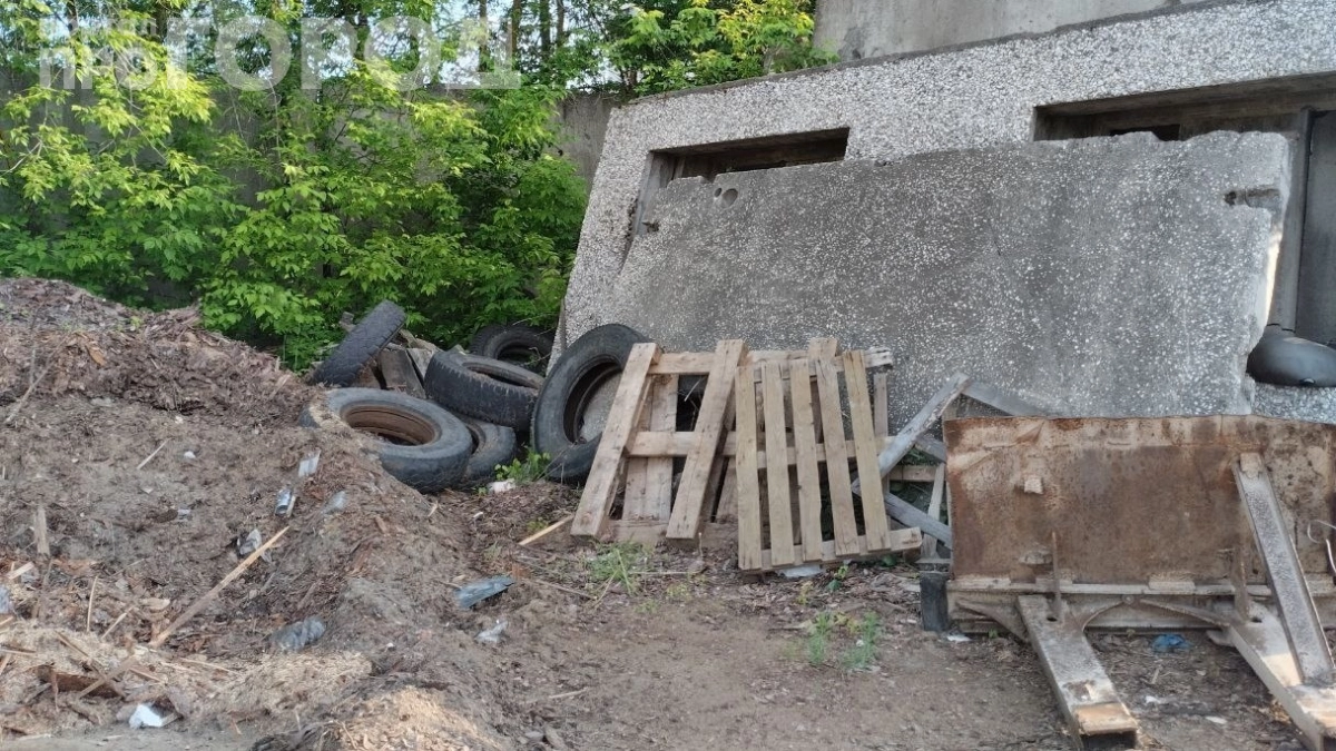 Лебедь из шины во дворе — и вы в суде: за какие украшения дачникам грозит уголовка