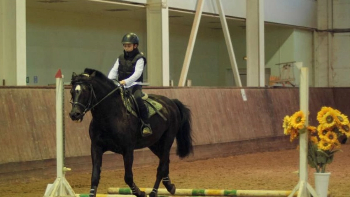 В конце рабочей недели в Новочебоксарске пройдут соревования по конному спорту