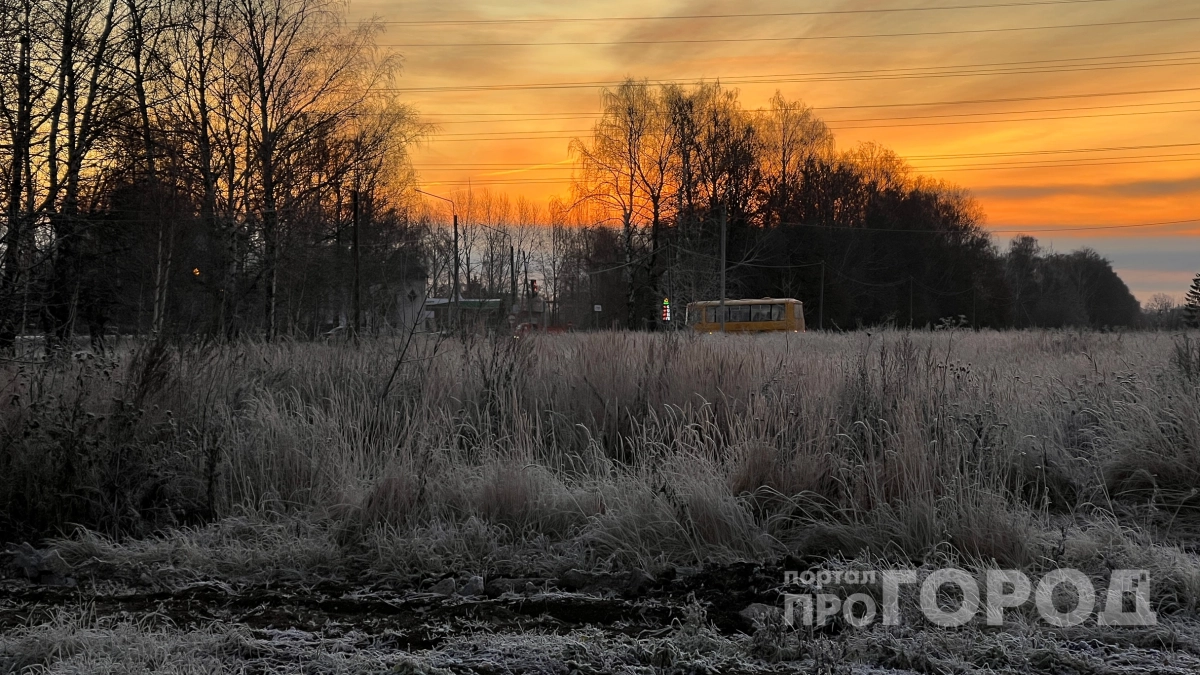 Майские заморозки застанут врасплох: россиян ждут неприятные перепады — как не потерять рассаду и цветы