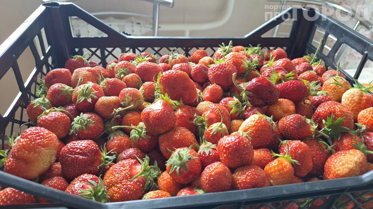 Черешня за 3000 рублей и клубника из Греции: какие ягоды появились на рынках уже в апреле и почему они такие дорогие