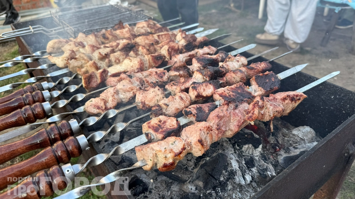 Шашлык может влететь вам в 20 000 рублей: новые правила жарки мяса на даче — что изменилось 