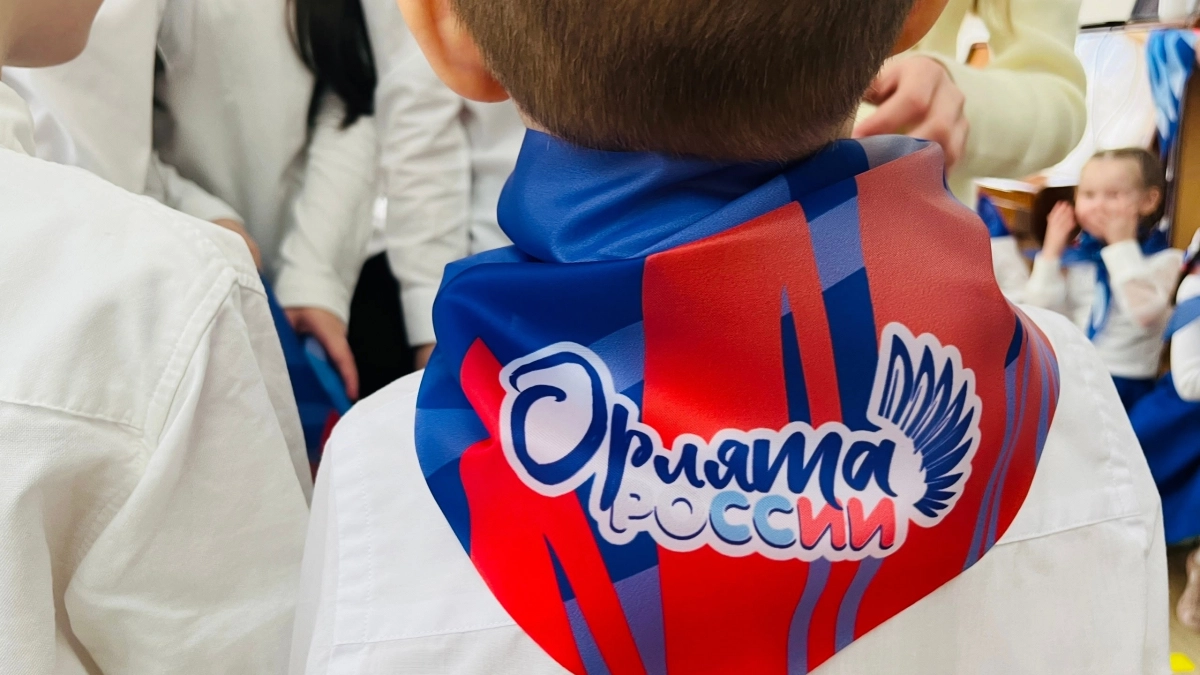 Новочебоксарские детсадовцы вступили в ряды орлят