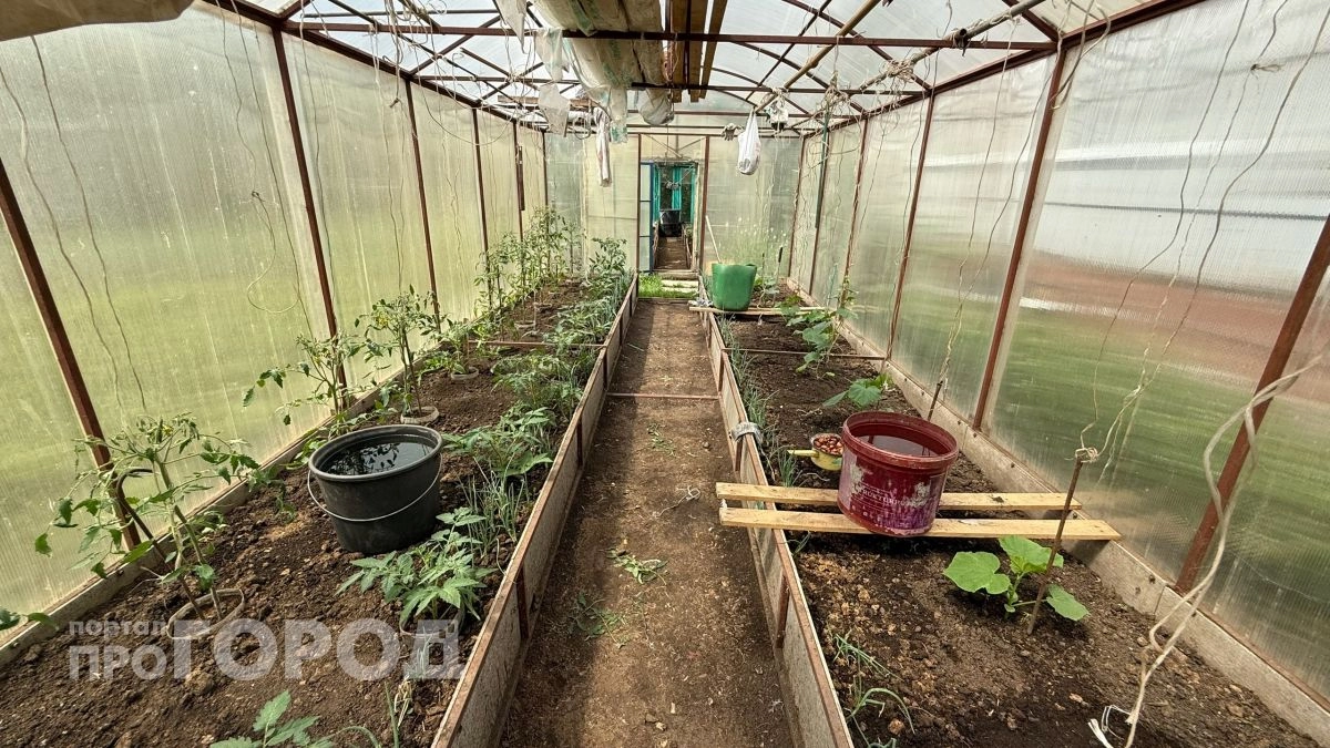 Овощевод из Новочебоксарска отсудила 50 тысяч рублей за укус шмеля во время работы