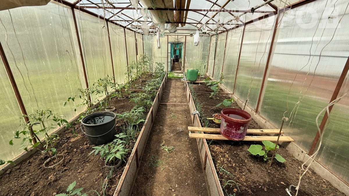 С 1 мая теплицы под запретом: дачников предупреждают о новых правилах и штрафах