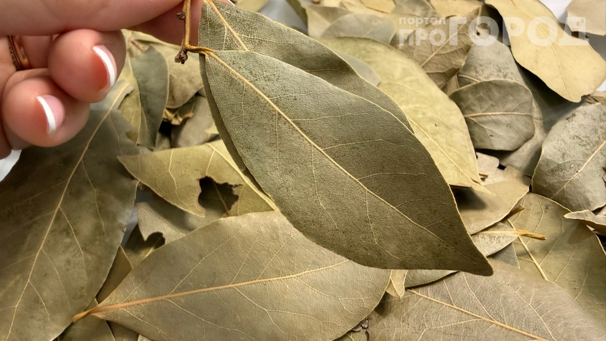Женщина оказалась в больнице из-за лаврового листа: вот почему его нужно сразу доставать из блюда