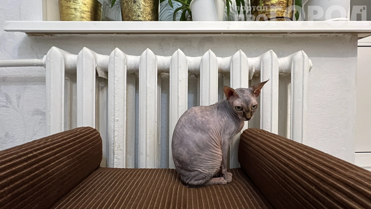 Отмываю батареи за 10 минут — всё благодаря средству из ванной: забудьте о скребках и химии