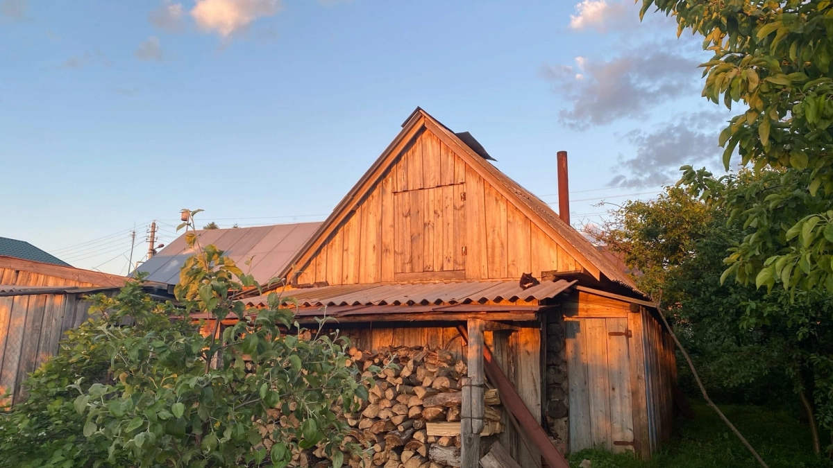 Избавляюсь от ос на участке не прикасаясь к гнезду: хитрый трюк с пластиковой побеждает любую осиную армию