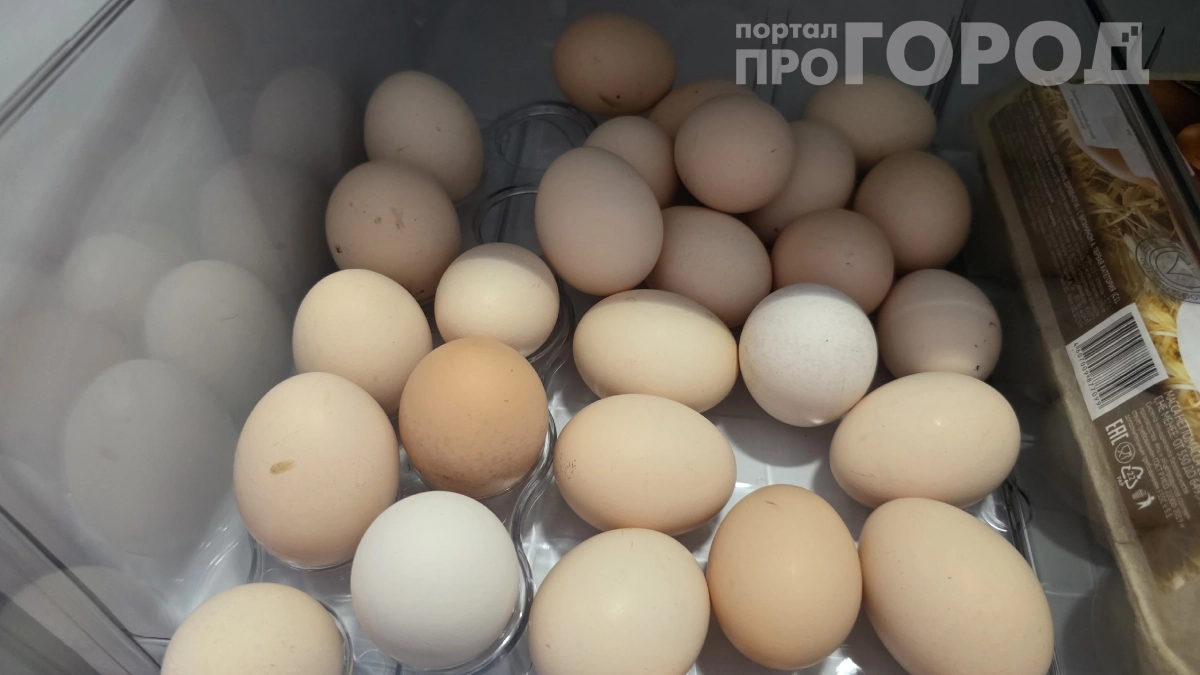 Никогда не сыпьте яичную скорлупу в грядки: вот что с ней происходит в земле — разоблачение садового мифа