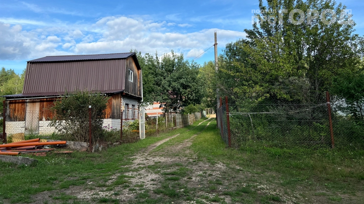 «Вы вообще понимаете, что вы миллионеры?»: японец увидел обычную русскую дачу и не смог поверить глазам 