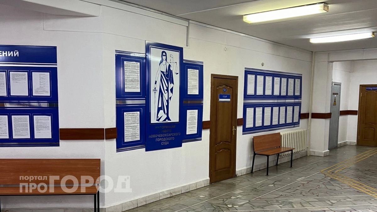 Новочебоксарца заставили перечислить своим детям более полумиллиона рублей алиментов