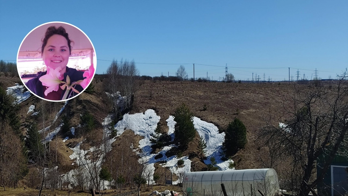 Ледяной дождь ломает деревья в садах: агроном объяснила, как спасти урожай