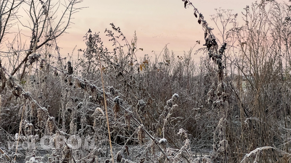 Апрельский снег по колено снова настигнет: где сугробы до 32 сантиметров и когда это закончится