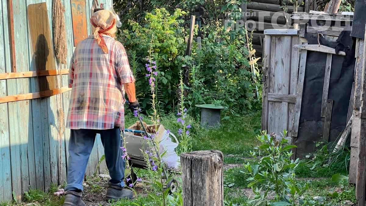 20 тысяч рублей штрафа за опрыскивание грядок: какие средства нельзя использовать на своём участке