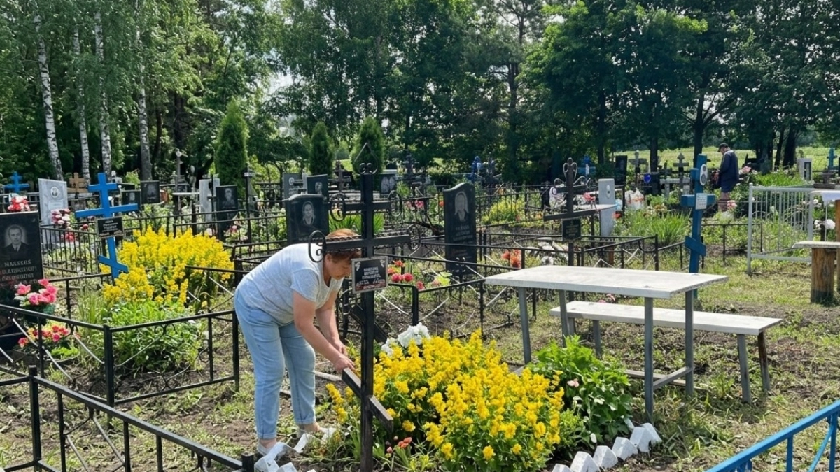 Посадите после Радоницы эти многолетники у могилки: не требуют полива и благоухают под палящим солнцем - райские цветы