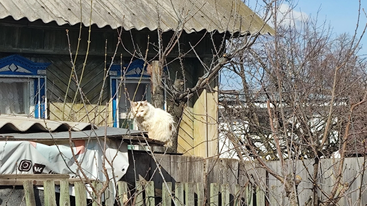 Вечер пятницы принесёт в Чувашию дожди и резкое ухудшение погоды