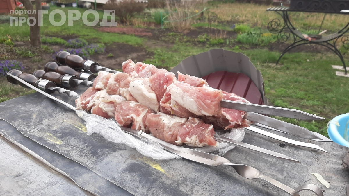 Вы всё делаете не так: что поразило американку в российских майских праздниках — почему вся Россия едет жарить мясо 