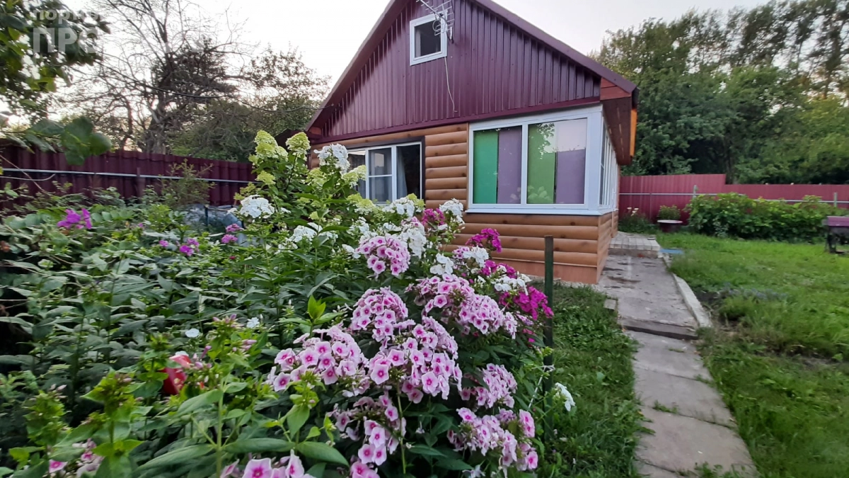 Комары больше не испортят шашлыки на даче: секрет, который работает лучше дорогих спреев