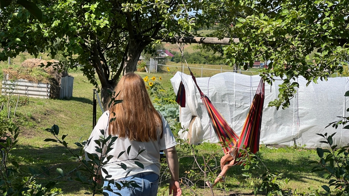 Опрыскал кусты не по правилам - заплати 20 тысяч рублей: вот какая обработка участка теперь вне закона