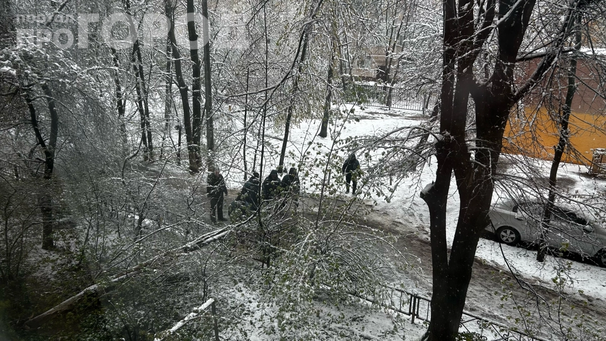 29 апреля в России начнётся погодный хаос: дождь, метель и шквалистый ветер — полный прогноз на неделю