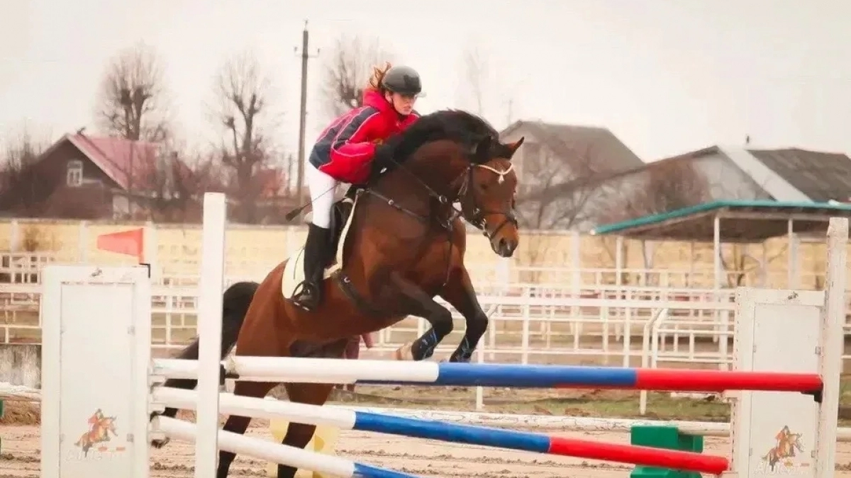 Новочебоксарские всадники завоевали золотые и серебрянные медали на турнирах по конному спорту в соседней республике