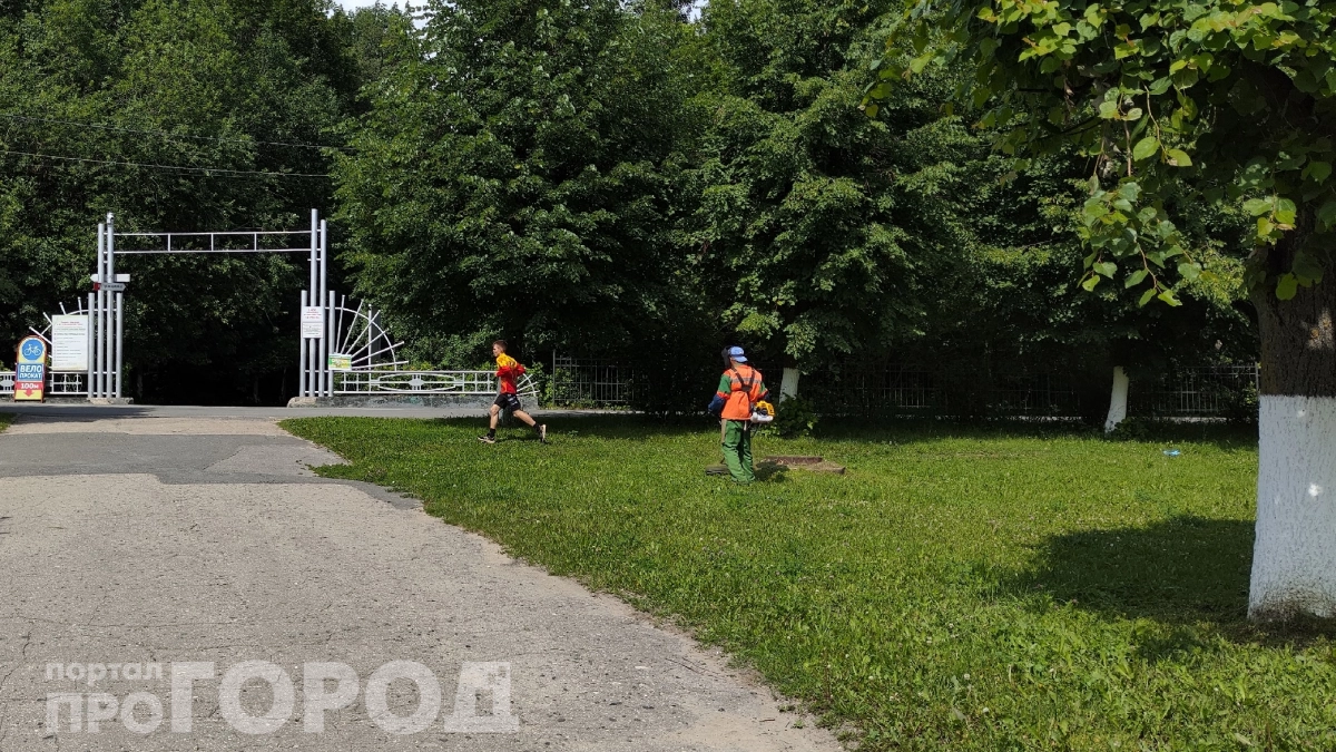 Газонокосилки больше не в ходу: почему англичане массово отказываются от идеальных газонов — стоит подумать об этом