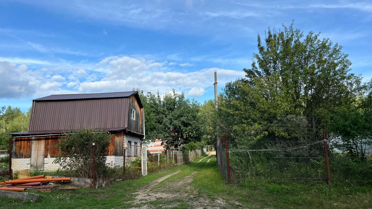 7 вредных деревьев, которые разрушат фундамент и высушат колодец: мудрый совет Мичурина в 1933 г - актуален и сегодня  