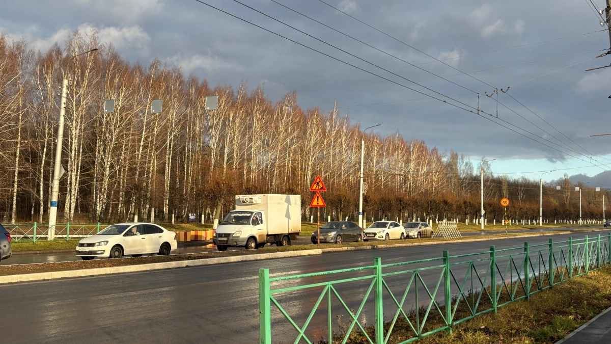 В новочебоксарской роще непогодой повалило несколько десятков деревьев