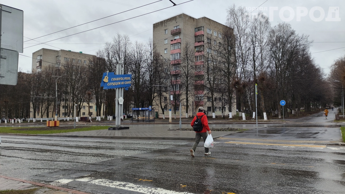 Лета не видать еще долго: возвратные заморозки и медленный прогрев почвы — предупреждение для садоводов