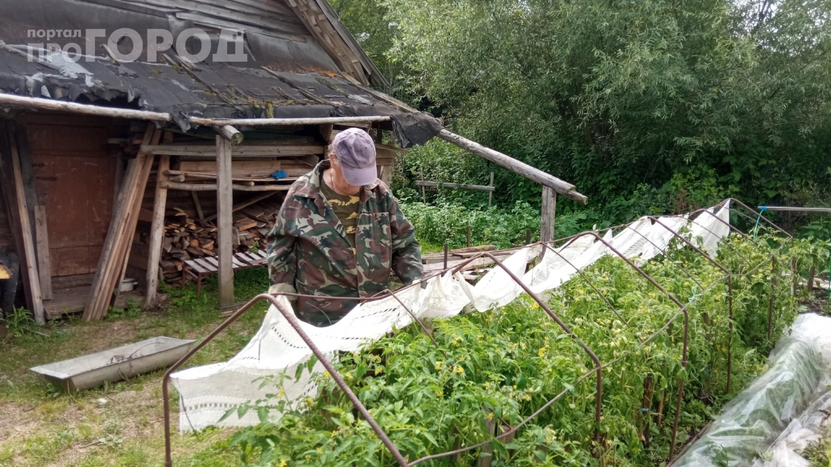 Улитки и слизни будут обползать ваш участок стороной: старинный барьер, который работает лучше химикатов
