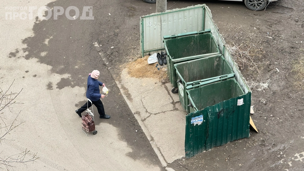 Не бросайте это в общий мусорный бак — прилетит штраф до 20 тысяч: за что теперь наказывают на дачах 
