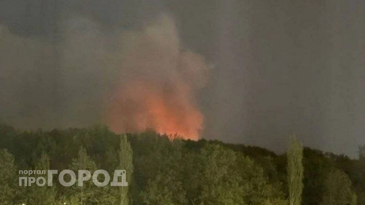 В Новочебоксарске в кафе на окраине рощи произошел пожар