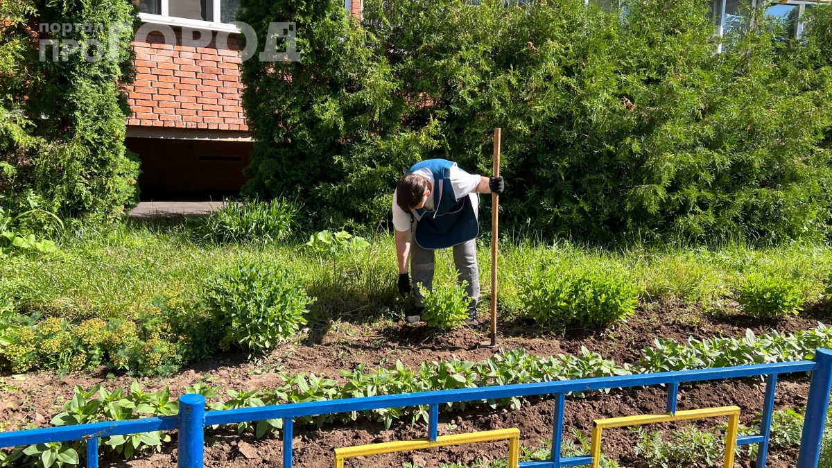Забудьте про лопату и бензопилу: как убрать пень за 50 рублей — секрет опытных дачников