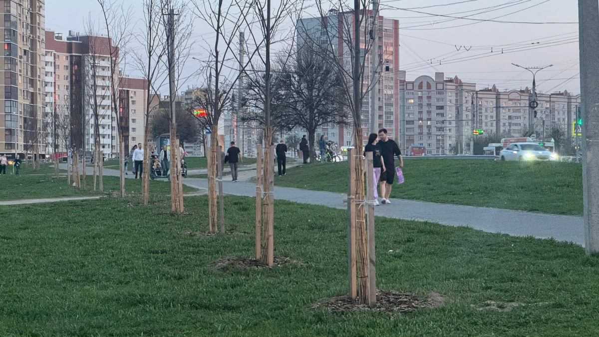 14 мая в Чувашии потеплеет до +26 градусов — дождь не помеха