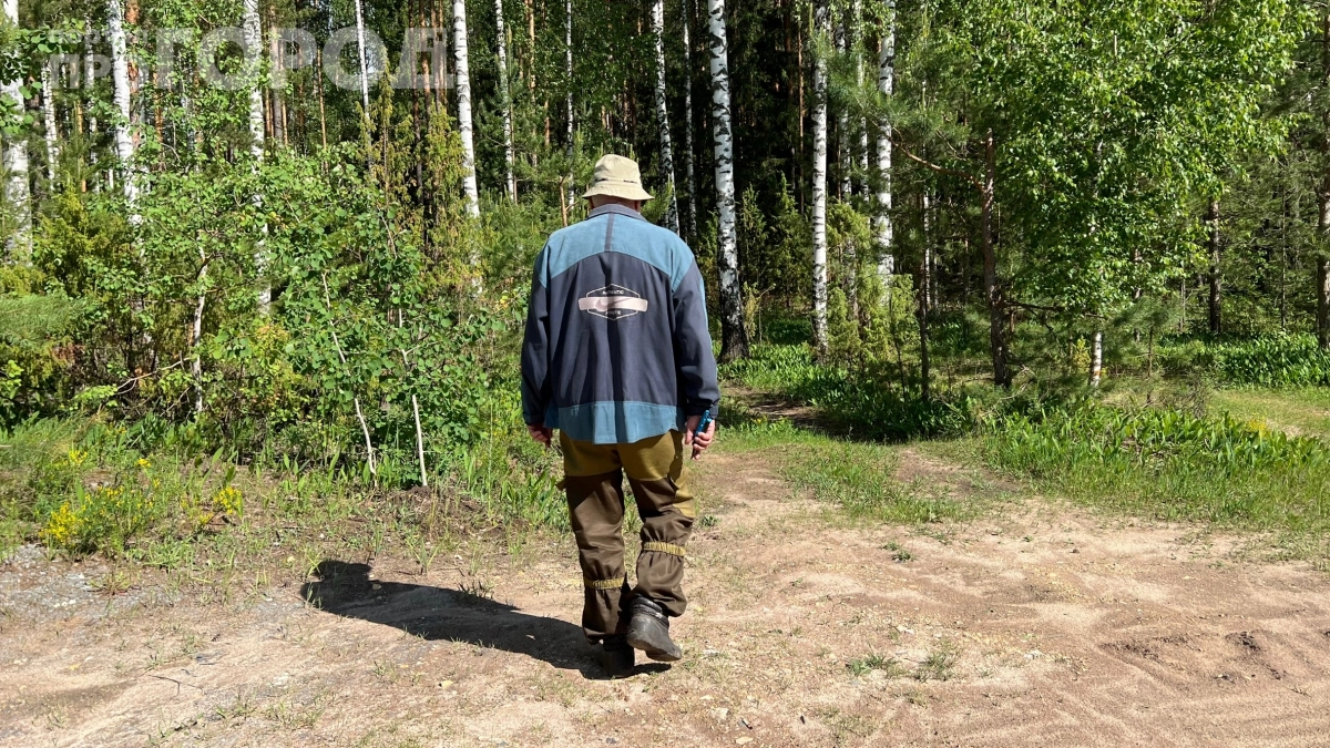 Лента на щиколотки и клещи бегут прочь — хоть в тапках по лесу ходи: проверено на практике