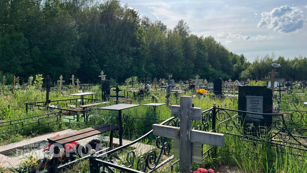 Новочебоксарск готовится к празднику Троицы
