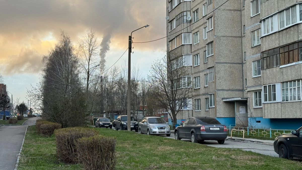 Холод всё уничтожит: синоптики предупредили россиян о заморозках, которые могут оставить дачников без урожая 