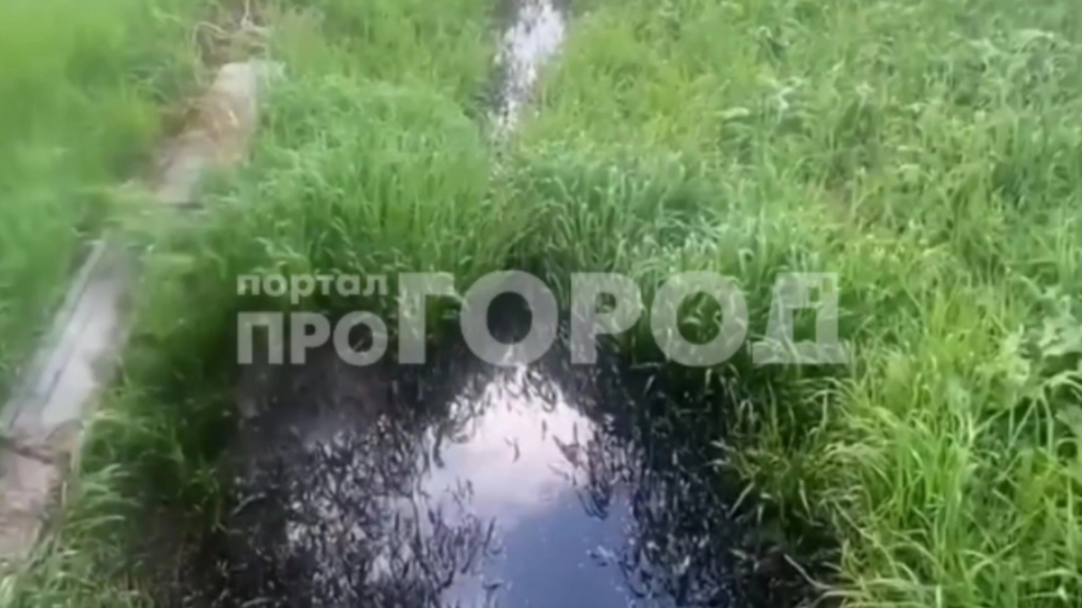 Мазут второй день течёт в пруд деревни Хозандайкино: под угрозой Волга