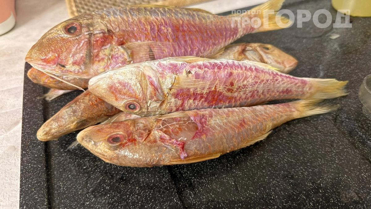 Больше такую рыбу не беру: вот как продавцы маскируют испорченный продукт — будьте начеку