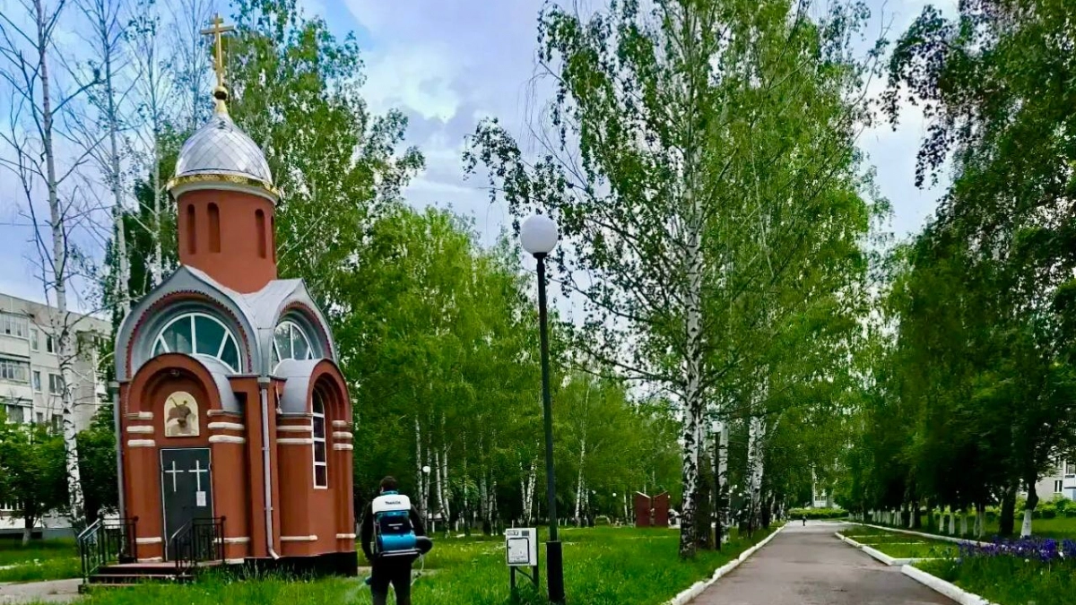 Новочебоксарск продолжают обрабатывать от комаров и клещей