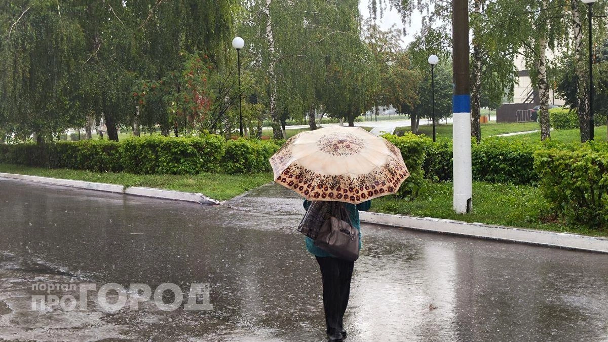 В Чувашии 27 мая потеплеет лишь до +14: дождь и сильный ветер