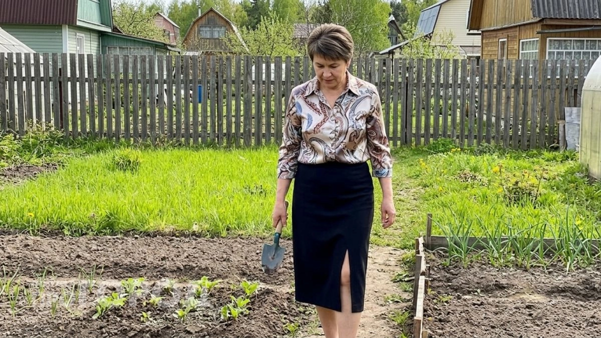 Чем пролить землю после уборки картофеля чтобы фитофтора не погубила помидоры в следующем году
